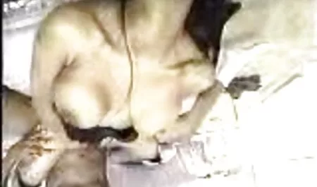 Університет БДСМ 101: секс з молодими дівчатами відео підготовка нафти
